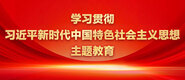 成人高潮啊啊啊啊啊啊视频学习贯彻习近平新时代中国特色社会主义思想主题教育_fororder_ad-371X160(2)